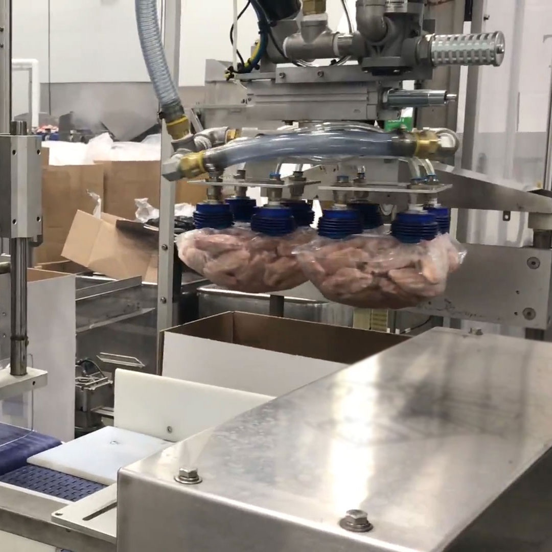 food industry chicken automation